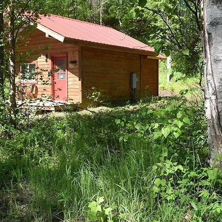 Birch Cabin تالكيتنا المظهر الخارجي الصورة