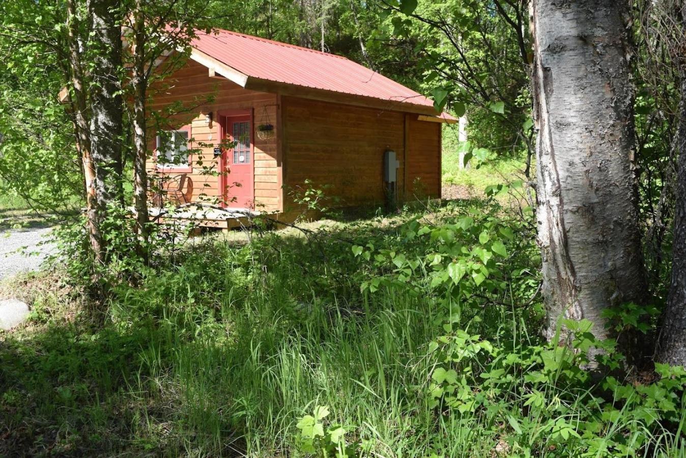 Birch Cabin تالكيتنا المظهر الخارجي الصورة